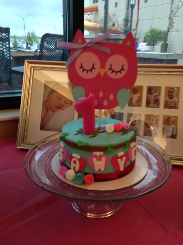 A pink cake with an owl on top.