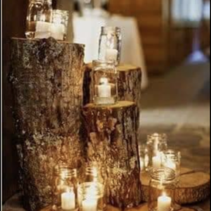 Wood Log Stumps