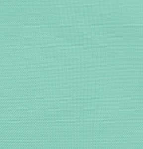 Solid Polyester – Mint